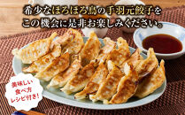 与論島産　ほろほろ鳥の手羽元餃子セット（12個入り）×6pc