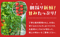 【令和7年11月～12月19日発送】ながなわ農園のフルティカトマト　1kg｜&nbsp;&nbsp;ちょっと贅沢な甘美なトマト&nbsp;&nbsp;数量限定&nbsp;トマト&nbsp;フルーツ&nbsp;甘い&nbsp;送料無料&nbsp;信州&nbsp;長野&nbsp;&nbsp;阿智村&nbsp;&nbsp;長縄農園