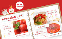 【令和7年11月～12月19日発送】ながなわ農園のフルティカトマト　1kg｜&nbsp;&nbsp;ちょっと贅沢な甘美なトマト&nbsp;&nbsp;数量限定&nbsp;トマト&nbsp;フルーツ&nbsp;甘い&nbsp;送料無料&nbsp;信州&nbsp;長野&nbsp;&nbsp;阿智村&nbsp;&nbsp;長縄農園