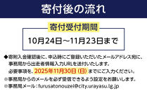 第35回東京ベイ浦安シティマラソン（10kmの部）出走権