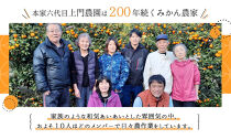 梅干し&nbsp;300g（しそ入り）紀州南高梅100%