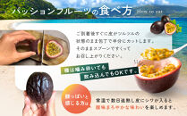 【先行予約】産地直送！パッションフルーツ秀品12個入り|先行予約&nbsp;2026年&nbsp;果物&nbsp;フルーツ&nbsp;くだもの&nbsp;パッションフルーツ&nbsp;南国&nbsp;産地直送&nbsp;甘み&nbsp;奄美&nbsp;鹿児島&nbsp;瀬戸内町