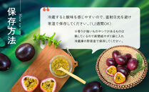 【先行予約】産地直送！パッションフルーツ秀品12個入り|先行予約&nbsp;2026年&nbsp;果物&nbsp;フルーツ&nbsp;くだもの&nbsp;パッションフルーツ&nbsp;南国&nbsp;産地直送&nbsp;甘み&nbsp;奄美&nbsp;鹿児島&nbsp;瀬戸内町