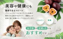 【先行予約】家庭用パッションフルーツ3kg&nbsp;|先行予約&nbsp;2026年&nbsp;果物&nbsp;フルーツ&nbsp;くだもの&nbsp;パッションフルーツ&nbsp;南国&nbsp;産地直送&nbsp;甘み&nbsp;奄美&nbsp;鹿児島&nbsp;瀬戸内町