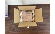 ケーキショップオカダ　五郎島金時のバターサンド(5個入)冷凍