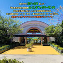 とくしまファミリーランド　アトラクション　　回数券（40枚つづり）&nbsp;x&nbsp;1冊