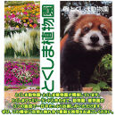 とくしまファミリーランド　アトラクション　　回数券（40枚つづり）&nbsp;x&nbsp;1冊