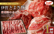 農水大臣賞受賞　伊賀とよさ豚　厳選詰め合せ1Kg
