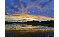 すぐ使える薪（樫・クヌギ）約10kg