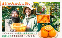 ［先行予約］［訳あり］秋採れみかん（早生みかん）2L〜3Lサイズ混合&nbsp;10kg＋500g（傷み補償分）［2026年11月上旬より発送］