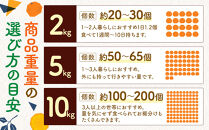 ［先行予約］［訳あり］秋採れみかん（早生みかん）2L〜3Lサイズ混合&nbsp;10kg＋500g（傷み補償分）［2026年11月上旬より発送］