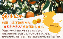 ［先行予約］［訳あり］冬採れみかん（中生みかん）2S〜3Sサイズ混合&nbsp;2kg＋200g（傷み補償分）［2025年11月下旬より発送］