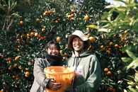 ［先行予約］［訳あり］冬採れみかん（中生みかん）2L〜3Lサイズ混合&nbsp;2kg＋200g（傷み補償分）［2025年11月下旬より発送］