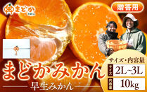 ［先行予約］［贈答用］秋採れみかん（早生みかん）2L〜3Lサイズ混合&nbsp;10kg＋500g（傷み補償分）［2025年11月上旬より発送］