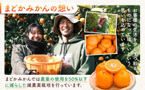 ［先行予約］［贈答用］蔵出しみかん（晩生みかん）2S〜3Sサイズ混合&nbsp;10kg＋500g（傷み補償分）［2027年1月上旬より発送］