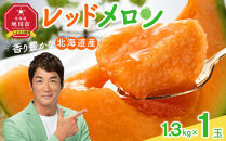 【26年発送先行予約】香り豊かな 北海道レッドメロン 1.3kg×1玉(2026年7月下旬から発送開始予定) 【 果物 くだもの フルーツ メロン 赤肉 赤肉メロン 旬 お取り寄せ 甘い 北海道産 旭川市 北海道 】_05408
