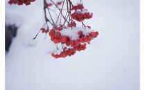 Nanakamado&nbsp;Asahikawa&nbsp;フレグランススプレー_05434
