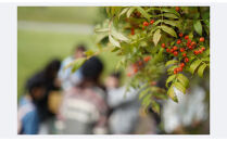 Nanakamado&nbsp;Asahikawa&nbsp;フレグランススプレー_05434