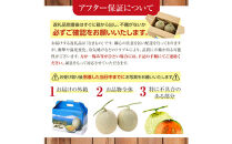 【26年発送先行予約】香り豊かな 北海道レッドメロン 1.3kg×3玉(2026年7月下旬から発送開始予定) 【 果物 くだもの フルーツ メロン 赤肉 赤肉メロン 旬 お取り寄せ 甘い 北海道産 旭川市 北海道 】_05409