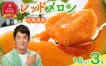 【26年発送先行予約】香り豊かな 北海道レッドメロン 1.6kg×3玉(2026年7月下旬から発送開始予定) 【 果物 くだもの フルーツ メロン 赤肉 赤肉メロン 旬 お取り寄せ 甘い 北海道産 旭川市 北海道 】_05411