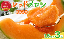 【26年発送先行予約】香り豊かな&nbsp;北海道レッドメロン&nbsp;1.6kg×3玉(2026年7月下旬から発送開始予定)&nbsp;【&nbsp;果物&nbsp;くだもの&nbsp;フルーツ&nbsp;メロン&nbsp;赤肉&nbsp;赤肉メロン&nbsp;旬&nbsp;お取り寄せ&nbsp;甘い&nbsp;北海道産&nbsp;旭川市&nbsp;北海道&nbsp;】_05411