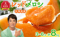 【26年発送先行予約】香り豊かな 北海道レッドメロン 8kg（3玉～6玉）(2026年7月下旬から発送開始予定) 【 果物 くだもの フルーツ メロン 赤肉 赤肉メロン 旬 お取り寄せ 甘い 北海道産 旭川市 北海道 】_05413