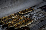 うなぎ蒲焼２尾