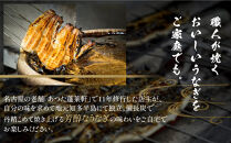 うなぎ蒲焼２尾