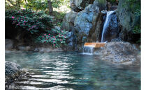 【星野リゾート】静岡県宿泊ギフト券(30,000円分)