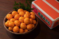 ［全2回・毎月発送］お一人様用採れたて甘い手摘み有田みかん&nbsp;1.5kg（15個前後）&nbsp;S～Lサイズの不揃い