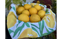 泉北レモンの街ストーリー(R)手ぬぐい