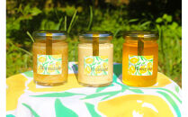 泉北レモン（R）至福の3本セット（マーマレード・フロマージュ・レモンはちみつ）