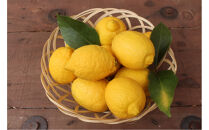 泉北レモン（R）至福の3本セット（マーマレード・フロマージュ・レモンはちみつ）