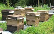 泉北レモン（R）至福の3本セット（マーマレード・フロマージュ・レモンはちみつ）