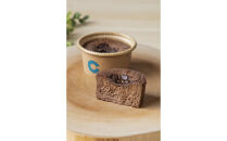 箱根発！なめらか濃厚バスクチーズケーキ 箱根チーズテラス・カプチ 【定番6個セット】