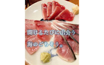 魚で肴&nbsp;詰め合わせ&nbsp;(天然物のみ4種類）