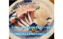 魚で肴&nbsp;詰め合わせ&nbsp;(天然物のみ5種類）