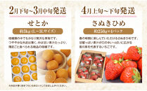 【定期便全12回】香川県フルーツ厳選定期便