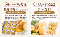 【定期便全12回】香川県フルーツ厳選定期便