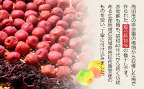 【2026年1月下旬より発送】梅干し&nbsp;100g&nbsp;12パック入り&nbsp;限定300個