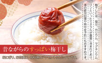 【2026年1月下旬より発送】梅干し&nbsp;300ｇ&nbsp;12パック入り&nbsp;300個限定