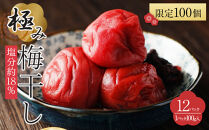 【2026年1月下旬より発送】極み梅干し 塩分約18％ 100ｇ 12パック入り 限定100個