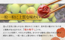 【2026年1月下旬より発送】極み梅干し&nbsp;塩分約18％&nbsp;100ｇ&nbsp;12パック入り&nbsp;限定100個