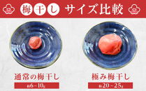 角田市&nbsp;岸浪園&nbsp;極み梅干し&nbsp;塩分約17％&nbsp;100ｇ×12パック&nbsp;限定100個
