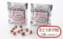 【お結びスポーツ】&nbsp;富士屋あめ本舗　&nbsp;さとうきび飴&nbsp;10個入り×2袋