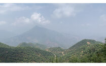 SINGLE ORIGIN（粉の状態）100g×5種類