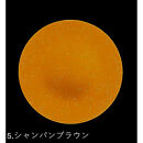 フラットプレート（D）乱糸（マット仕上げ）シャンパンブラウン［NF112］