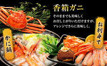 【訳あり】 金沢港より直送！ ボイル 香箱ガニ 6杯セット 釜茹で 冷蔵 2025年発送 | かに カニ 水産 食品 冷蔵 発送 蟹 セコガニ せいこガニ ふるさと納税 返礼品 石川名物 お取り寄せ 海産物 冬季限定 新鮮 海の幸 魚介類 海鮮 グルメ 贈り物 特産品 お祝い お取り寄せ 通販 送料無料 ふるさと納税  石川 金沢 加賀 百万石 北陸 北陸復興