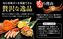 【訳あり】 金沢港より直送！ ボイル 香箱ガニ 6杯セット 釜茹で 冷蔵 2025年発送 | かに カニ 水産 食品 冷蔵 発送 蟹 セコガニ せいこガニ ふるさと納税 返礼品 石川名物 お取り寄せ 海産物 冬季限定 新鮮 海の幸 魚介類 海鮮 グルメ 贈り物 特産品 お祝い お取り寄せ 通販 送料無料 ふるさと納税  石川 金沢 加賀 百万石 北陸 北陸復興