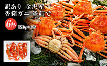 【訳あり】 金沢港より直送！ ボイル 香箱ガニ 6杯セット 釜茹で 冷蔵 2025年発送 | かに カニ 水産 食品 冷蔵 発送 蟹 セコガニ せいこガニ ふるさと納税 返礼品 石川名物 お取り寄せ 海産物 冬季限定 新鮮 海の幸 魚介類 海鮮 グルメ 贈り物 特産品 お祝い お取り寄せ 通販 送料無料 ふるさと納税  石川 金沢 加賀 百万石 北陸 北陸復興